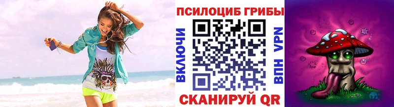Галлюциногенные грибы Psilocybe  купить закладку  Иркутск 