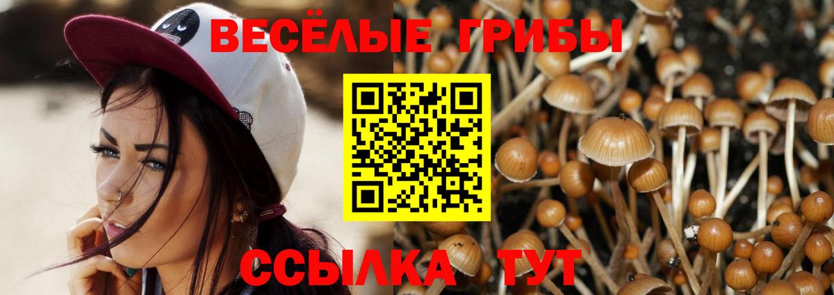 Иркутск  Псилоцибиновые грибы Psilocybine cubensis  Вход с VPN 