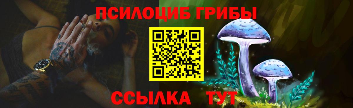 Галлюциногенные грибы Psilocybine cubensis Иркутск