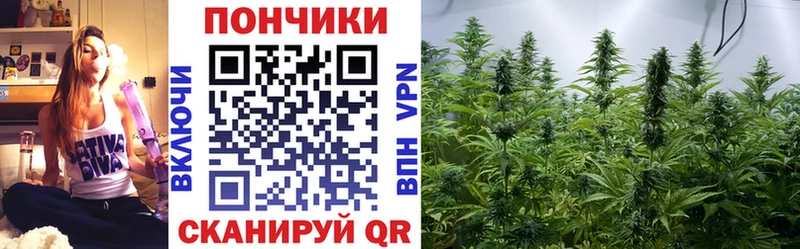 МЕГА tor  Иркутск  Бошки Шишки THC 21% 